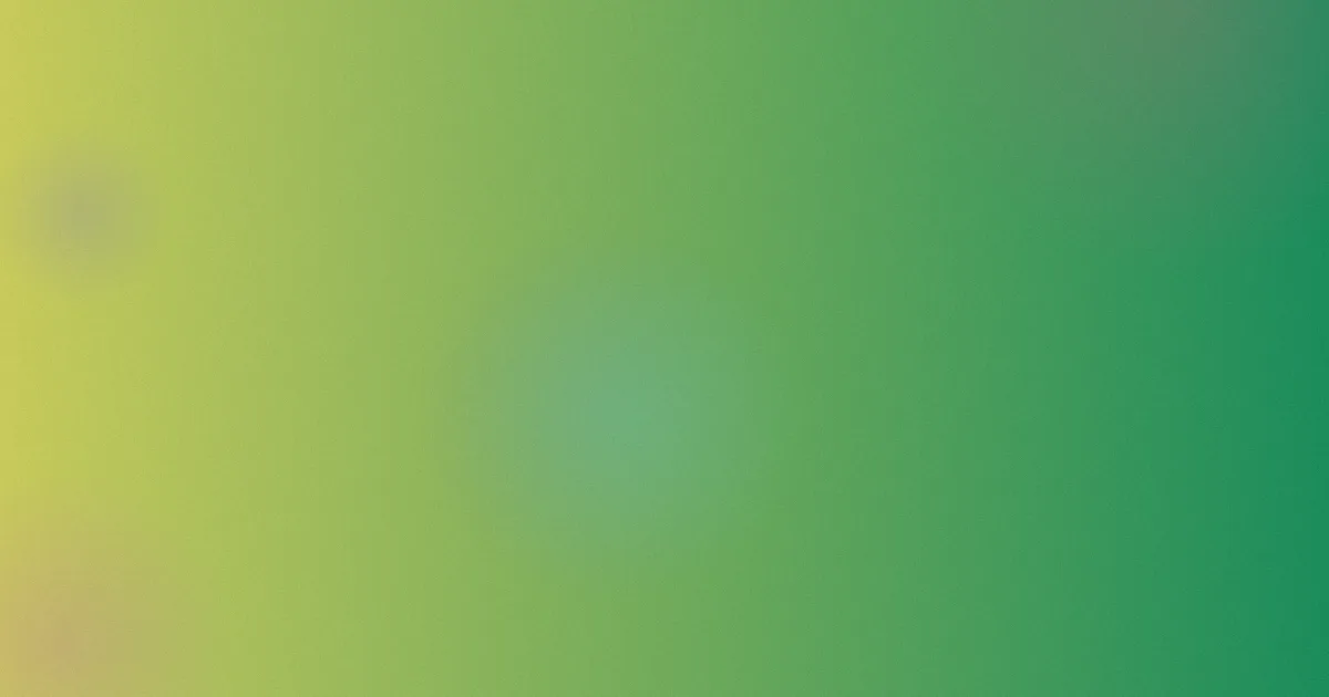 千人千面推荐：新手从零落地方案